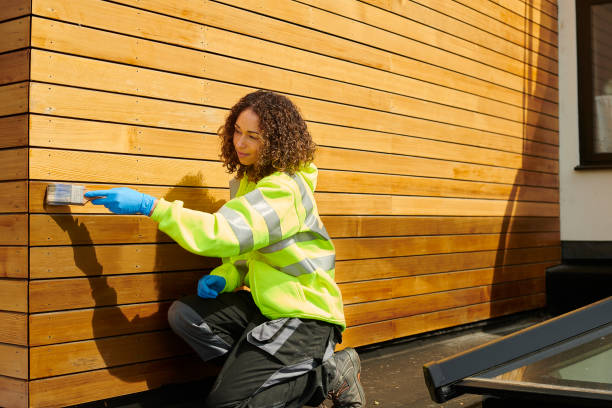 Best Storm Damage Siding Repair  in Newport, MN